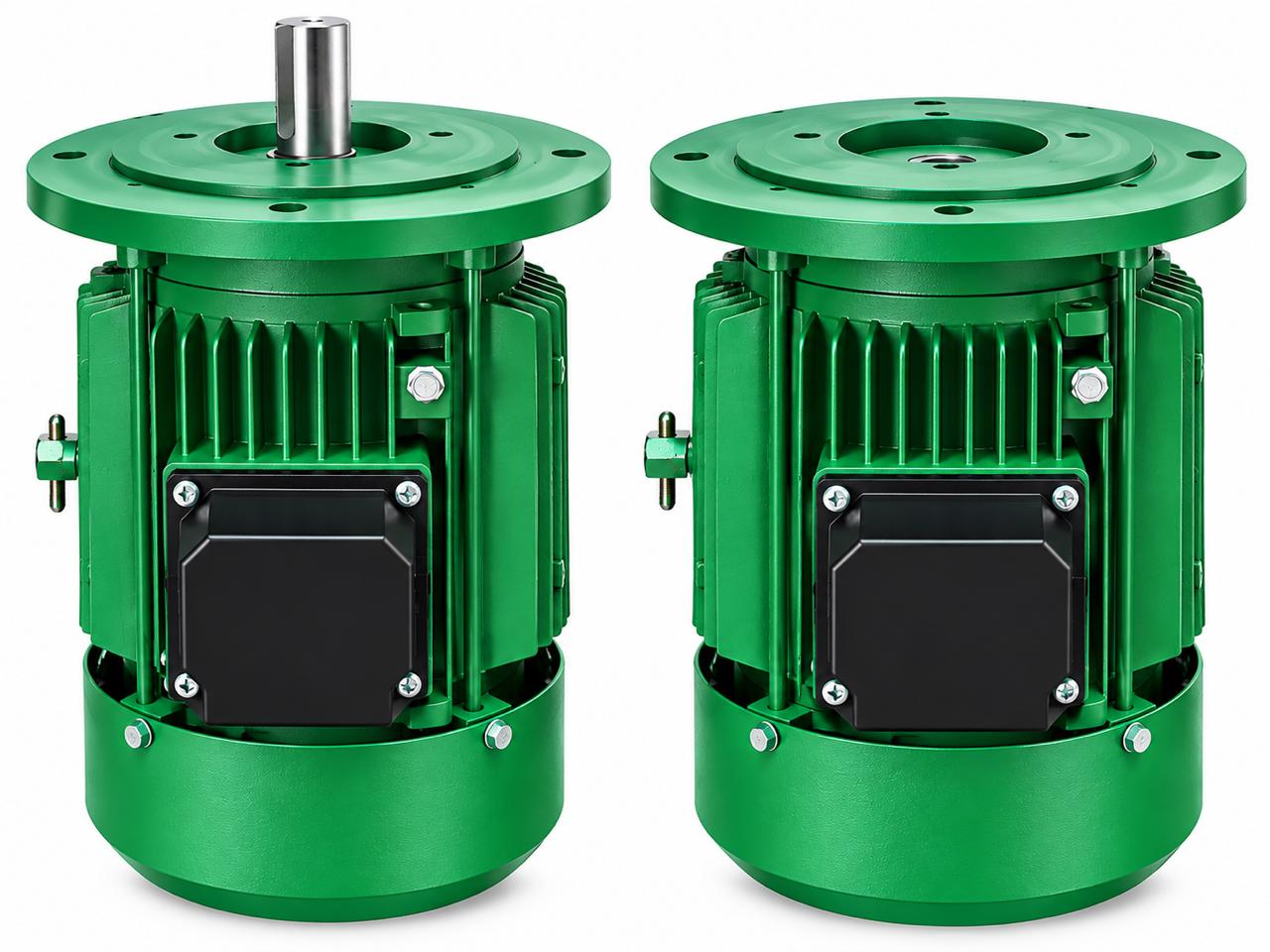 single phase three phase flange motors